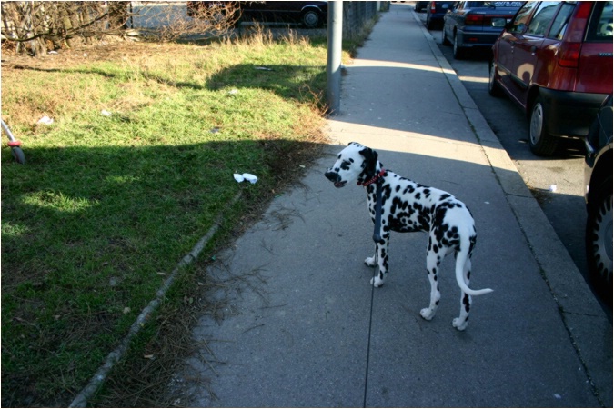 immer wenns interessant wird, mu� ich gehen